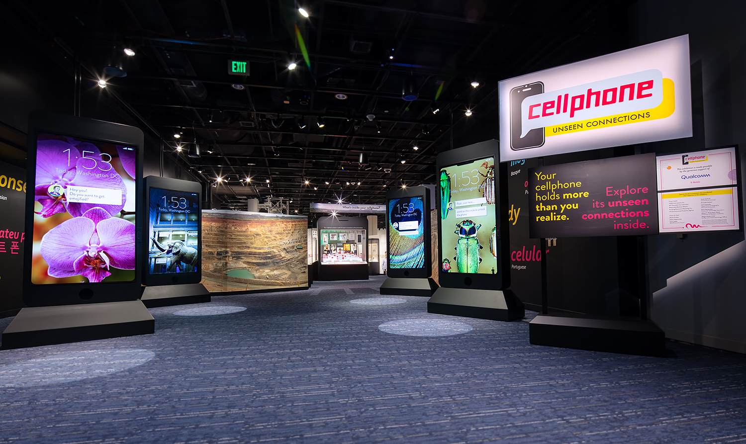 "Cellphone: Unseen Connections" exhibit at the National Museum of Natural History