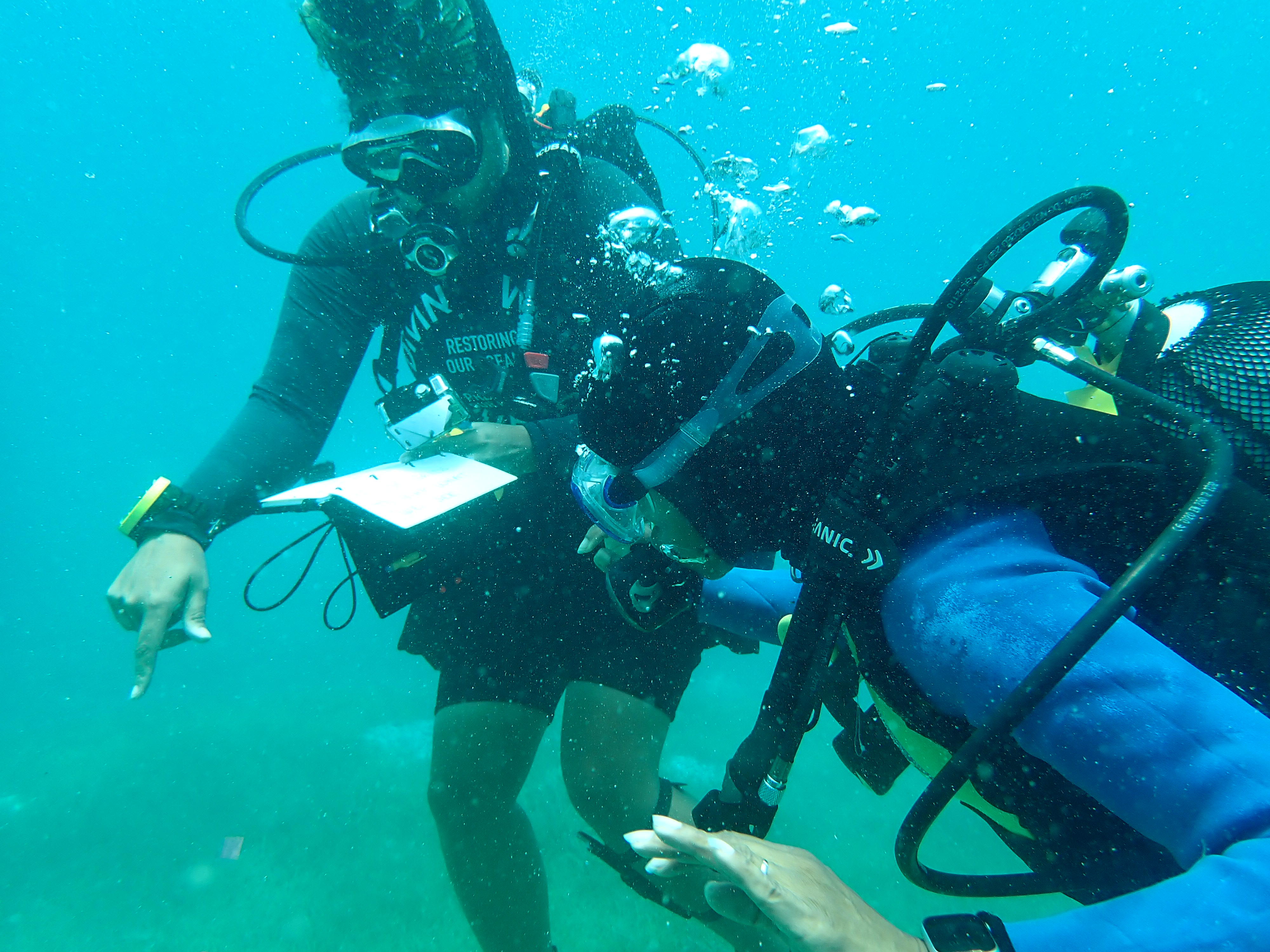 two divers underwater, looking at clipboard