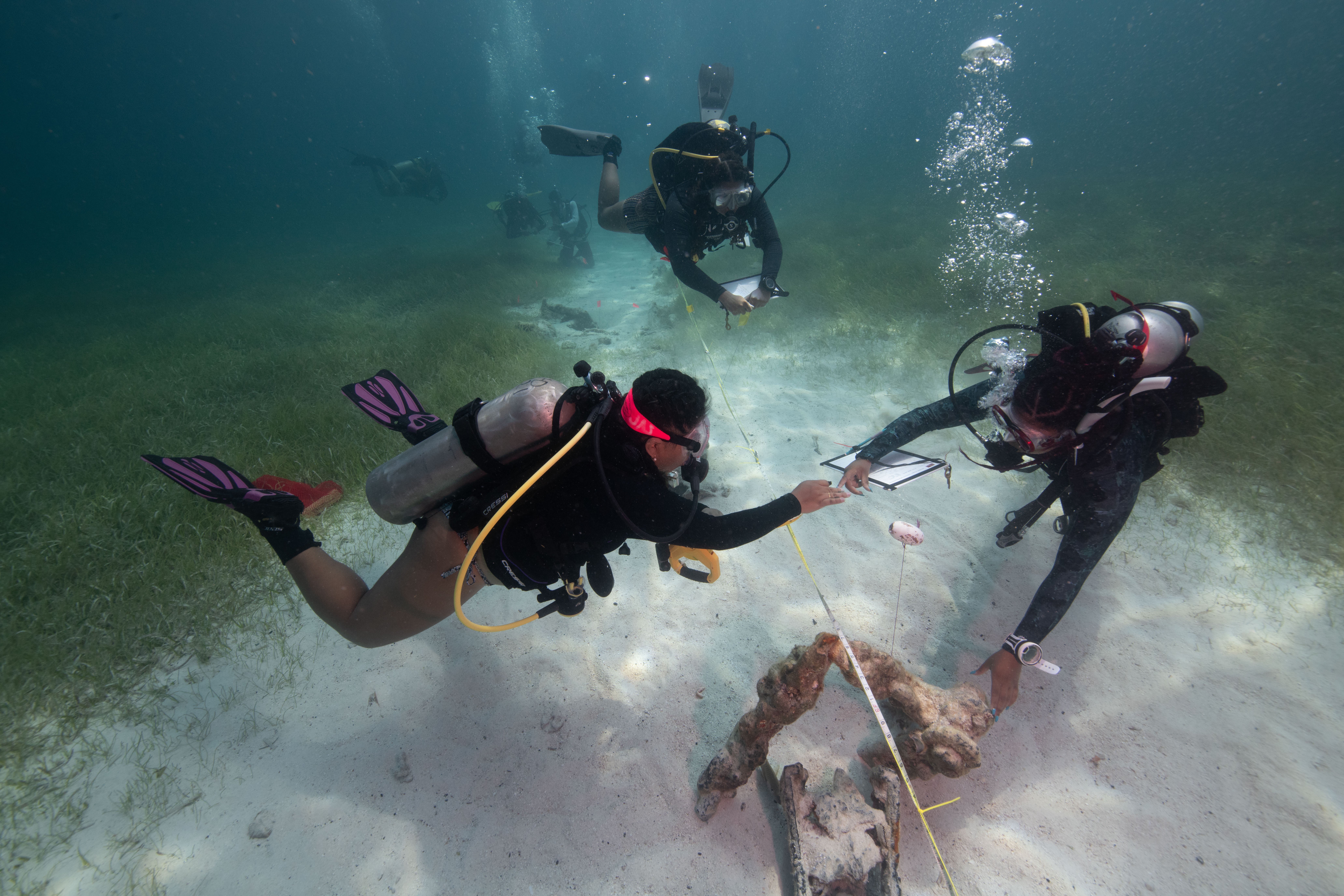 divers underwater looking at artifacts