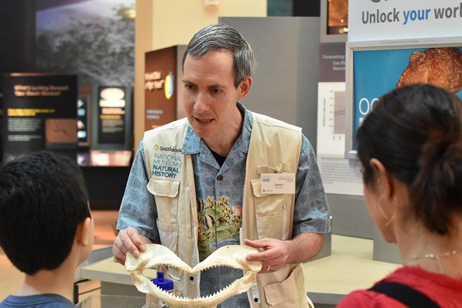 a scientist shows bones to a child at the Smithsonian Natural History Museum