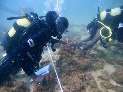two divers underwater looking at artifacts on ocean floor